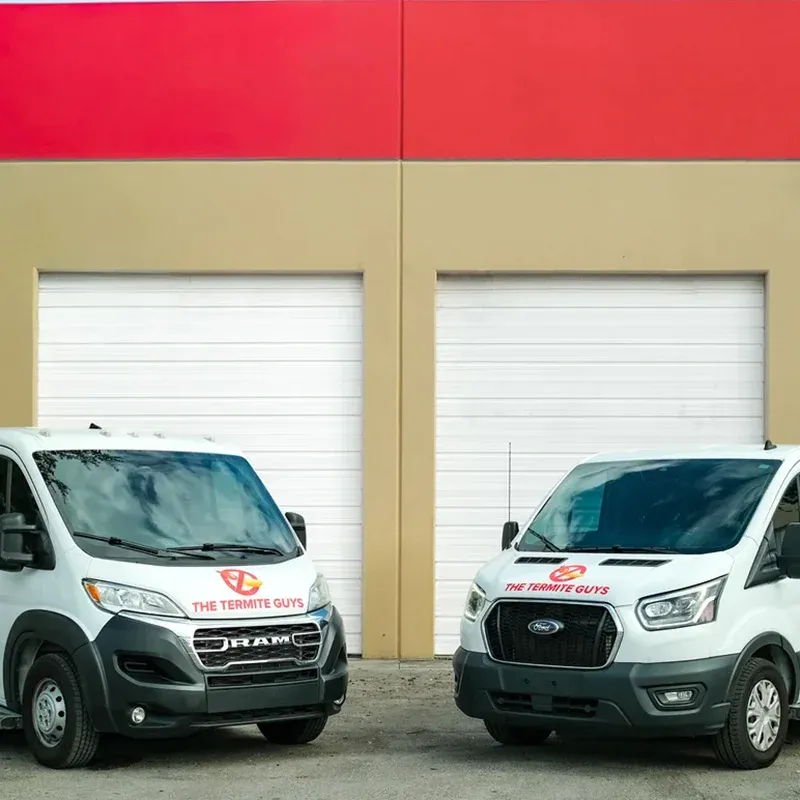 Professional termite soil treatment being applied around foundation
