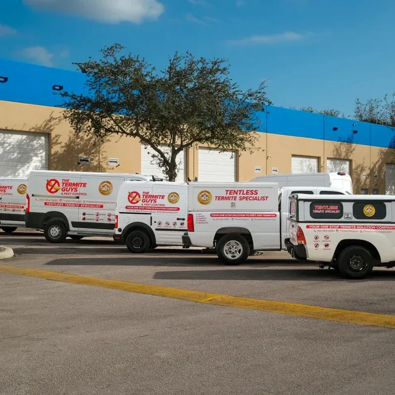 Florida Termite Guys technician providing termite treatment service at a Kendale Lakes home