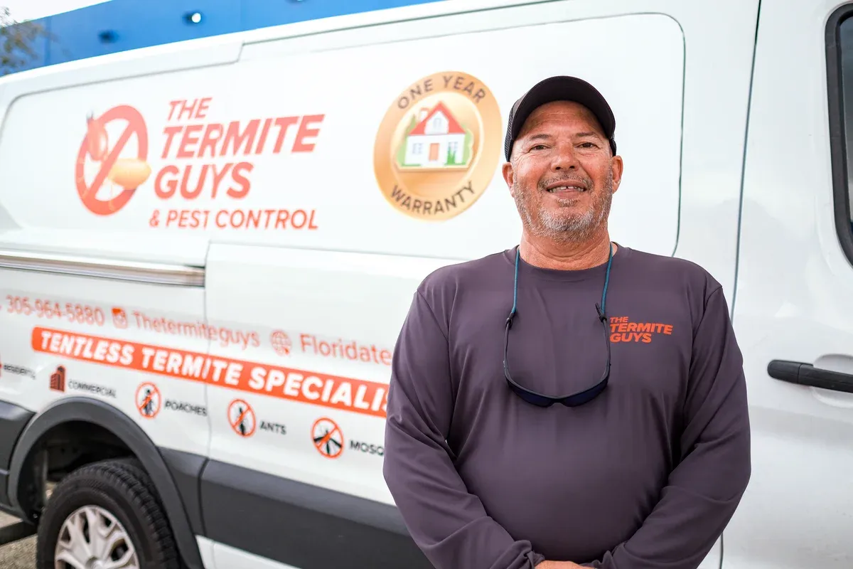 Termite Inspection
