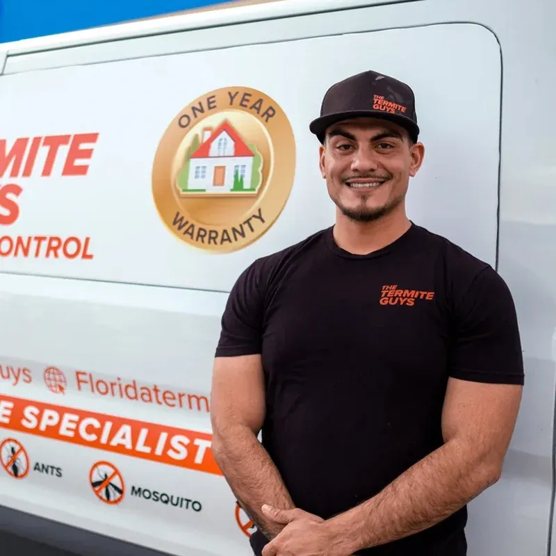 Termite control specialist examining a Miami property for termite activity