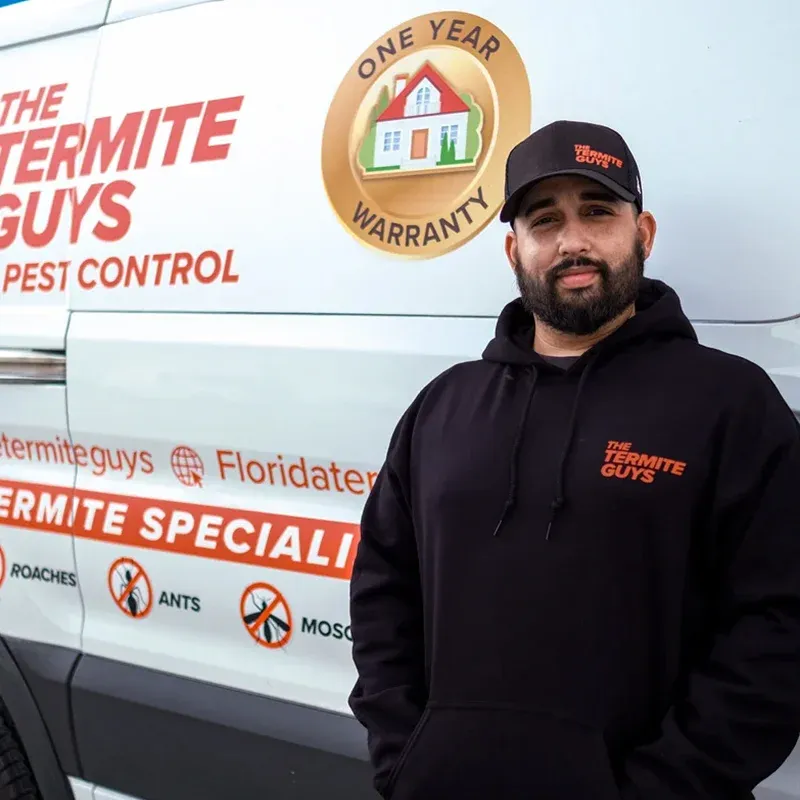 Termite control specialist examining a Miami Beach property for termite activity