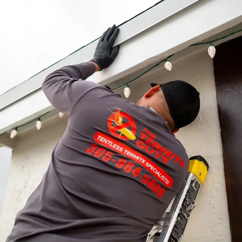 Professional termite soil treatment being applied to foundation