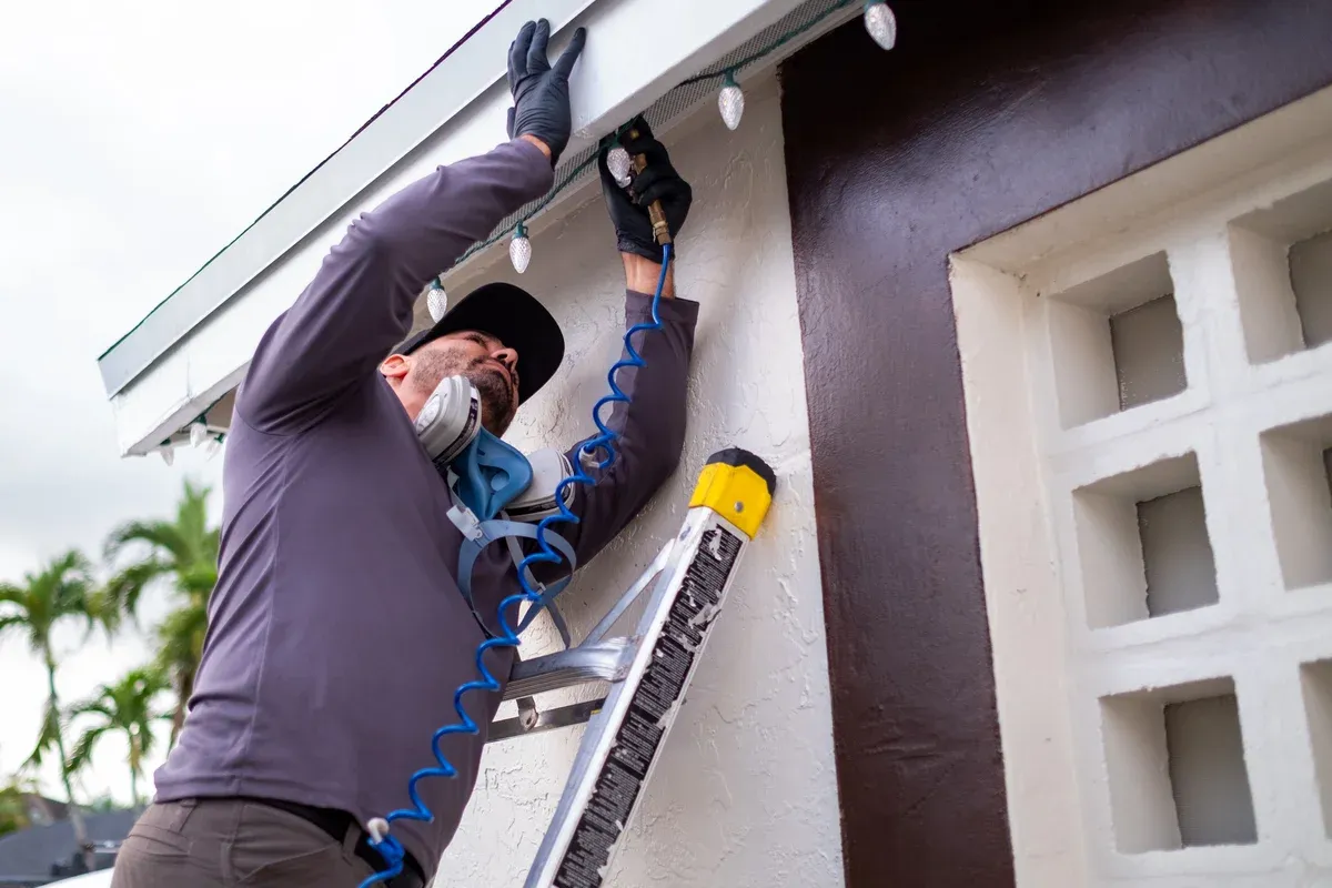 Florida Termite Guys