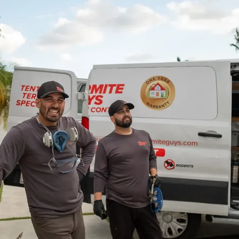 Professional termite inspection at a South Miami home
