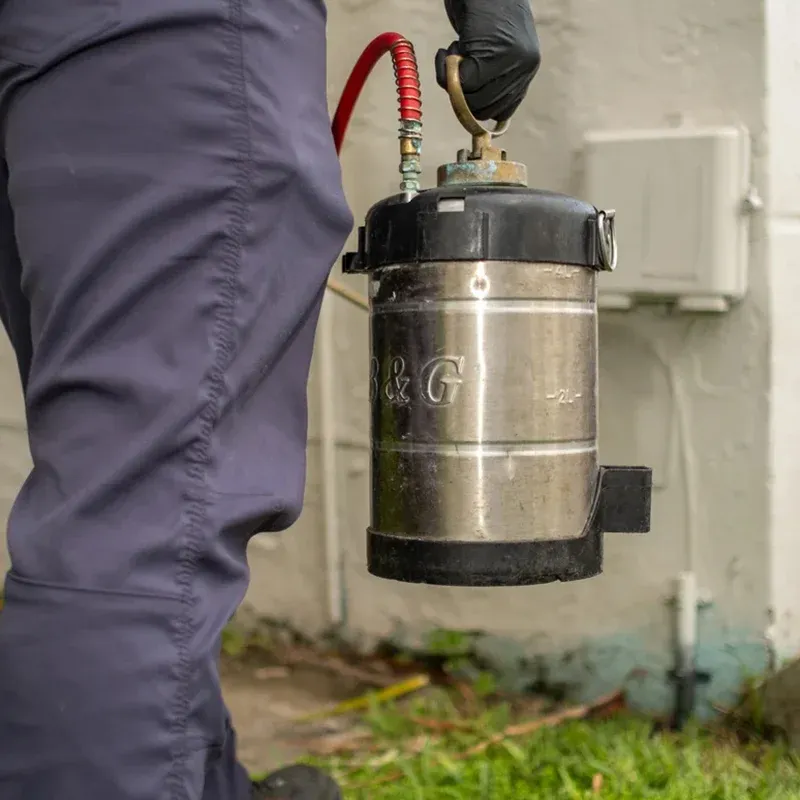 Historic Coconut Grove home receiving professional termite treatment