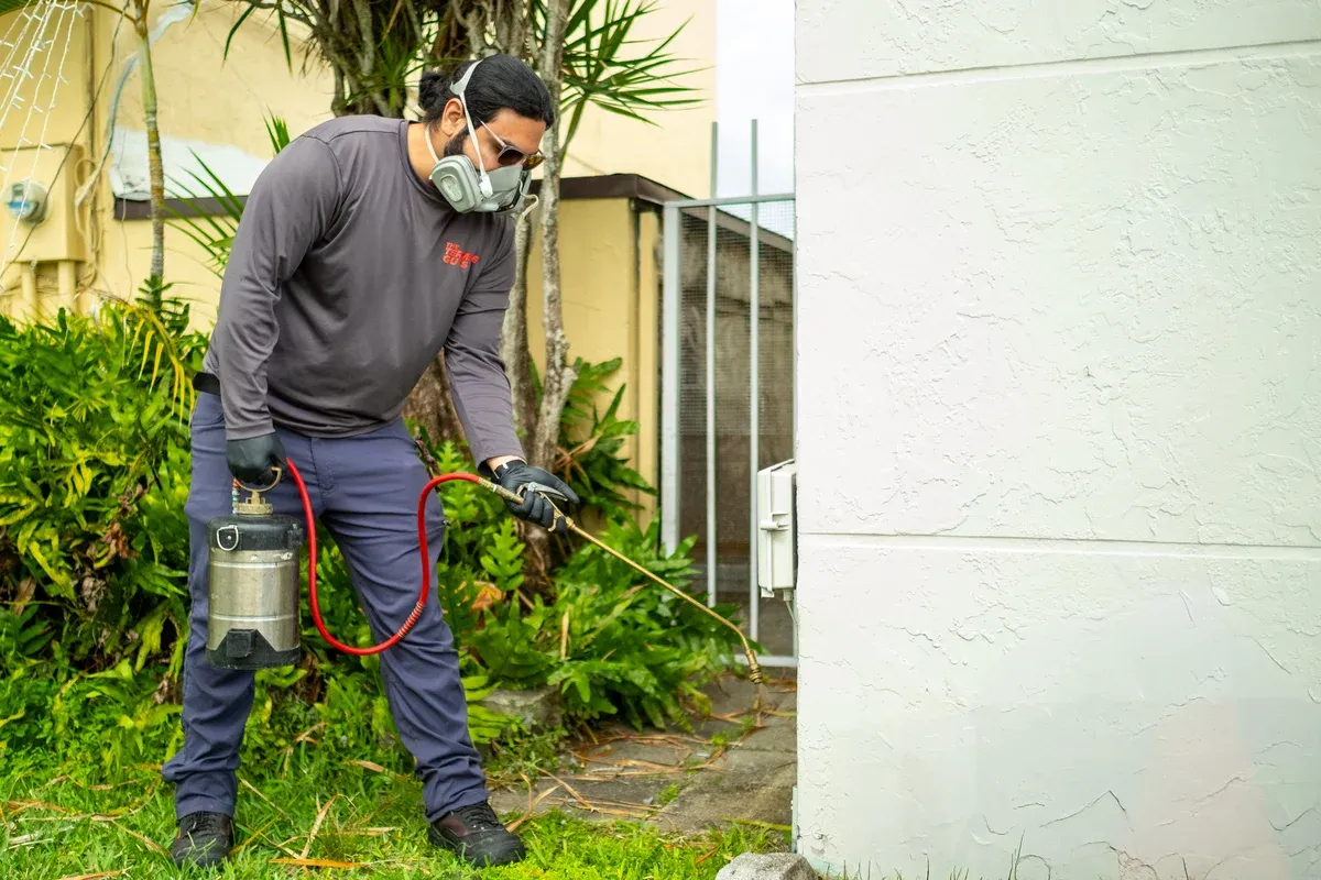 Termite Control