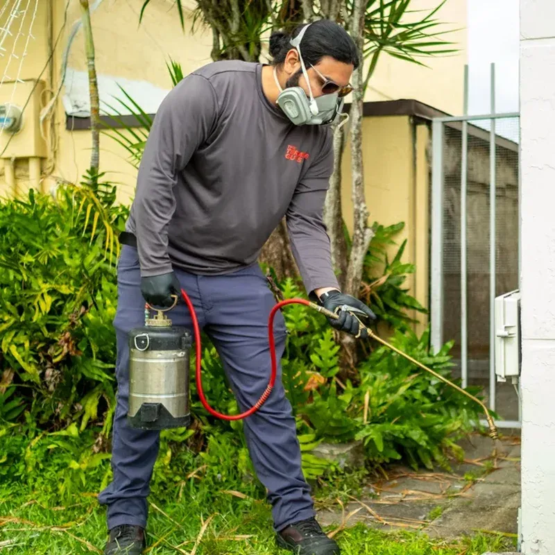 Florida Termite Guys technician performing tentless termite treatment on a Miami home