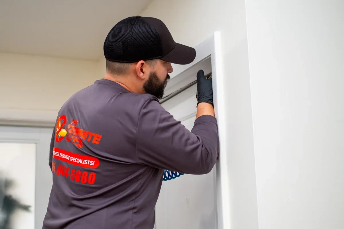 Professional termite inspector using moisture detection equipment to identify hidden infestation areas