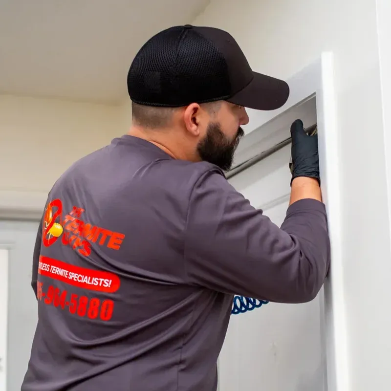 Structural wood showing termite damage patterns