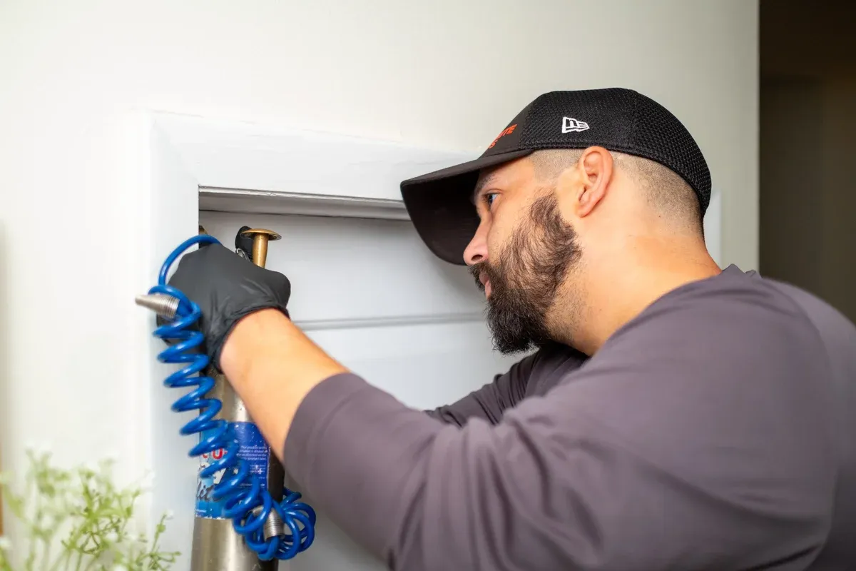 Subterranean termite mud tubes on a foundation wall