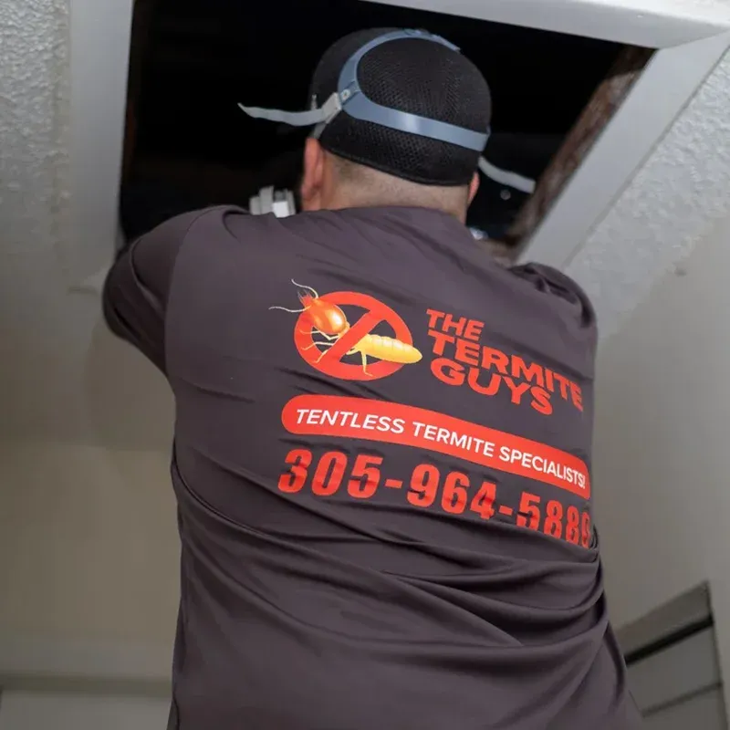 Professional termite treatment being applied at a Doral property