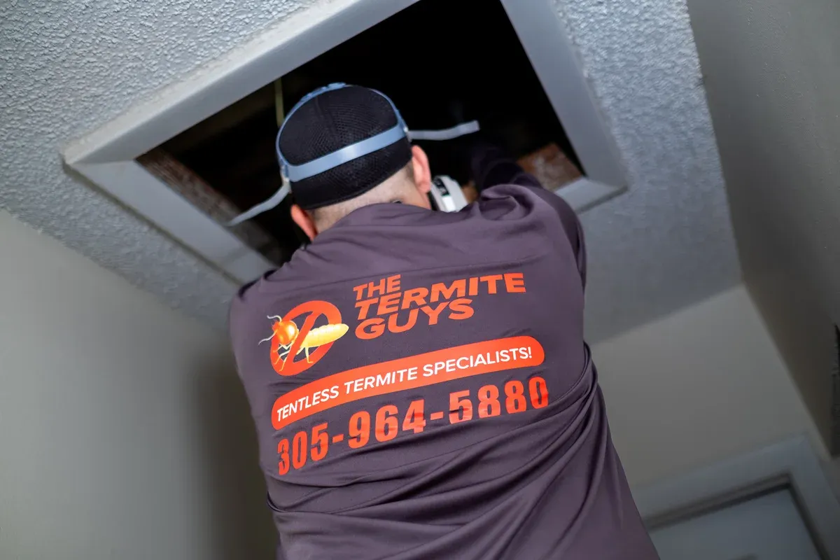 Subterranean termite mud tubes visible on home foundation wall