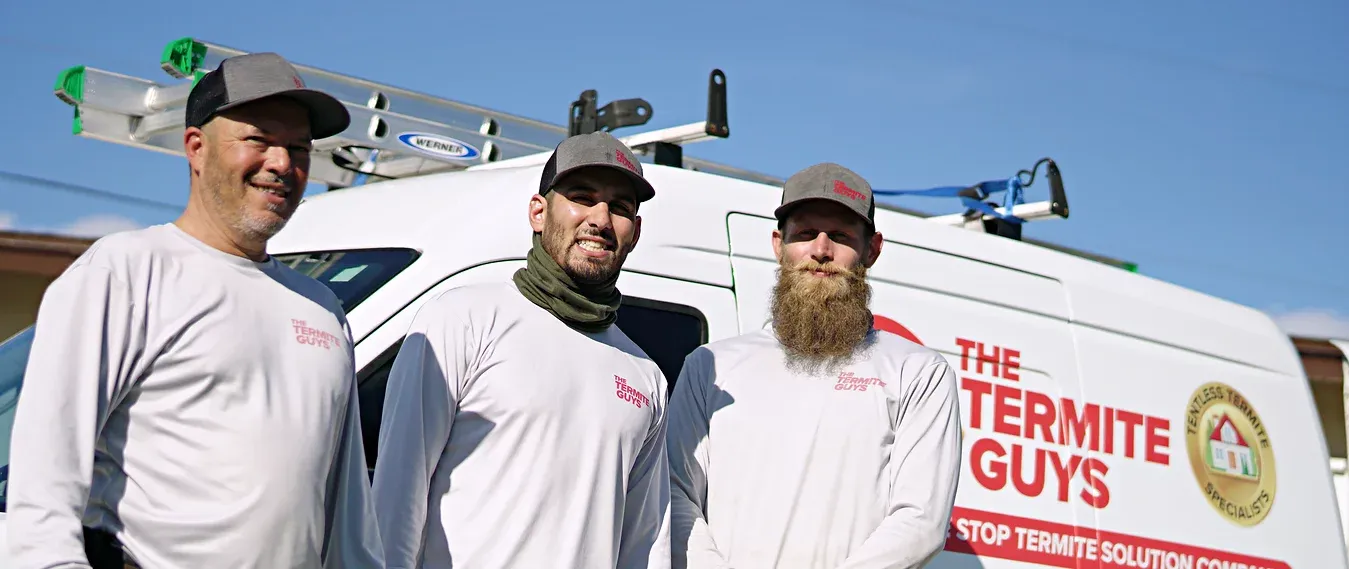 Carpa de fumigación instalada en vivienda
