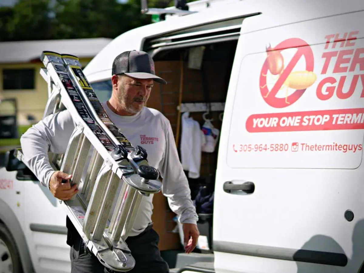 Preventative Termite Treatment