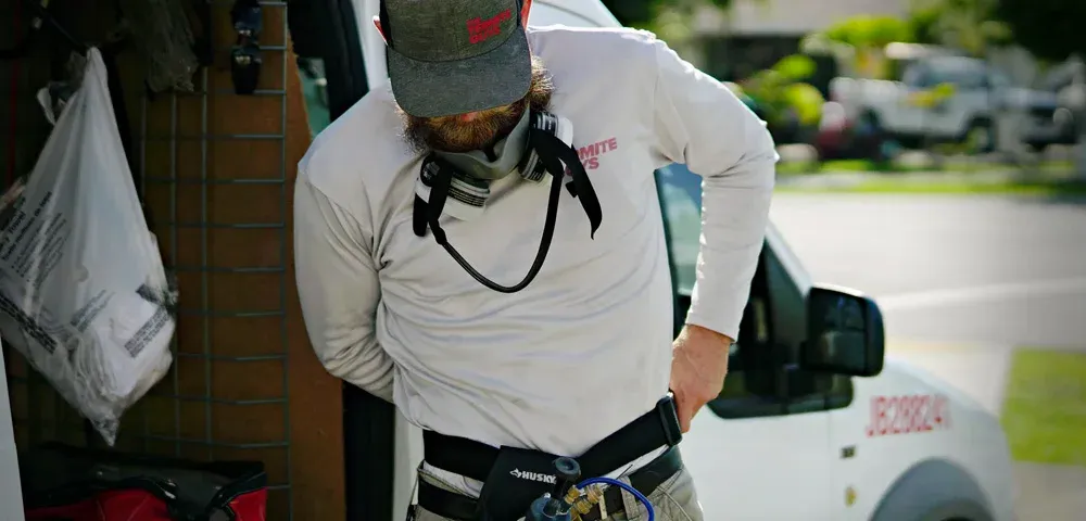 Comparison of professional termite treatment results versus DIY approaches