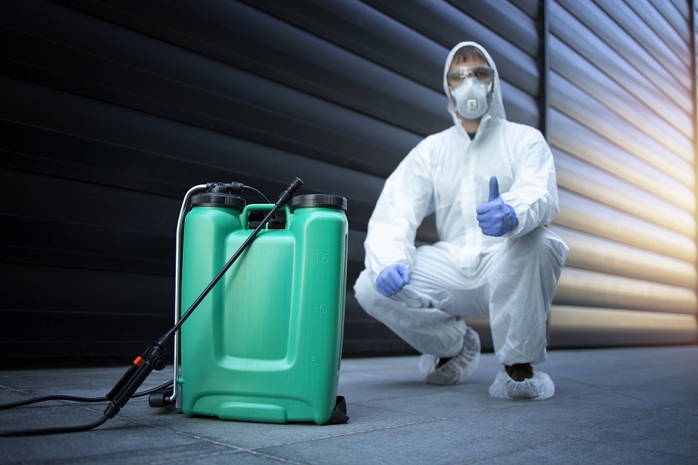 Why You Should Only Hire A Professional Termite Control Company